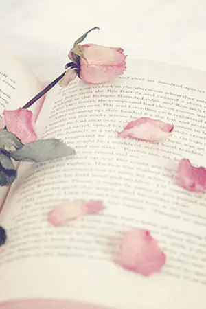 ปกนิยาย My Love โซ่รักคล้องใจ