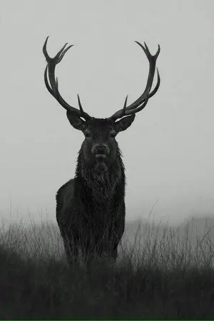 ปกนิยาย That Night {KaiHun}