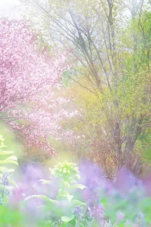 ปกนิยาย Fic Jaedo(Nct) || Happy Valentian Day