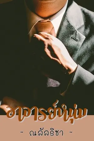 ปกนิยาย