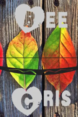 ปกนิยาย Driver | คนขับรถจำเป็น beecris