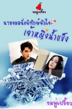 ปกนิยาย