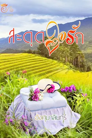 ปกนิยาย