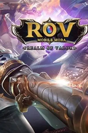 ปกนิยาย ROVคู่จิ้น