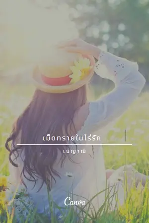 ปกนิยาย เม็ดทรายในไร่รัก