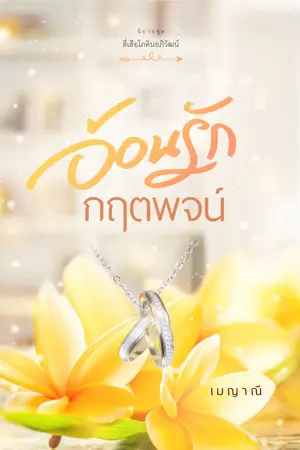 ปกนิยาย