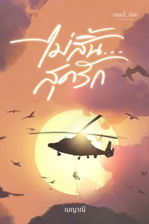 ปกนิยาย ไม่สิ้น...สุดรัก