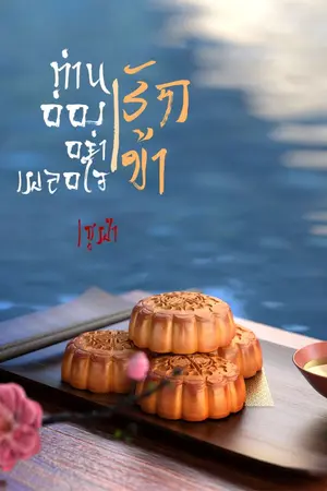 ปกนิยาย ท่านอ๋องอย่าเผลอใจรักข้า