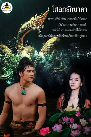 ปกนิยาย