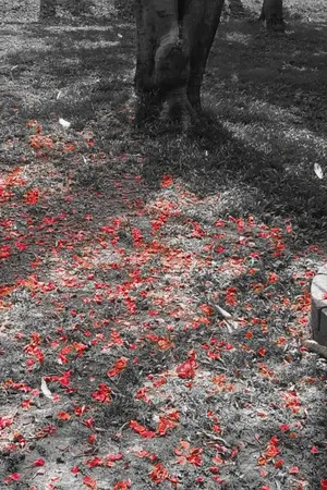 ปกนิยาย เรื่องสั้นชุด "ณ วันหนึ่ง"