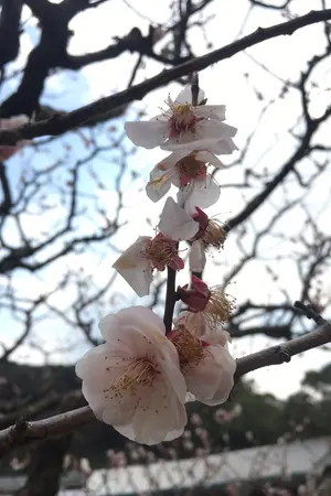 ปกนิยาย อย่าขัดใจ เพราะพี่ใหญ่สุดครับ [ Follow me ]