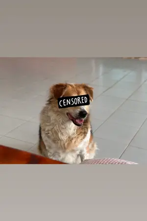 ปกนิยาย ไอ้ต้าวสมศรี