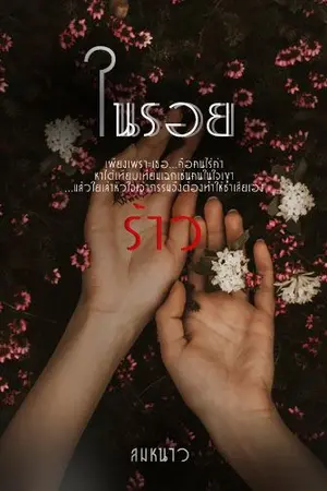 ปกนิยาย ในรอยร้าว In the crack