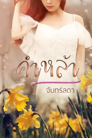 ปกนิยาย