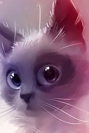 ปกนิยาย DRUG SUGAR