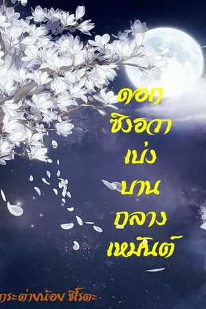 ปกนิยาย ดอกซิงฮวาเบ่งบานกลางเหมันต์