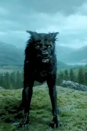 ปกนิยาย [ฟิค Harry Potter] [Y] [OC/SS] ผมกลับมาเกิดใหม่เป็น...ซิเรียส แบล็ก