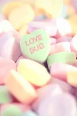 ปกนิยาย ღ  C A N D Y  | MarkMin {NCT/SMrookies} ღ