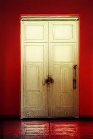 ปกนิยาย The Doors