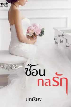 ปกนิยาย ซ้อนกลรัก  by มุกเรียง