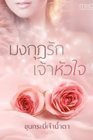 ปกนิยาย