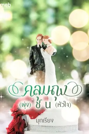 ปกนิยาย คลุมถุง(พุ่ง)ชน(หัวใจ) รีอัพ