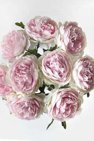 ปกนิยาย (NCT) MARRY | MARKREN