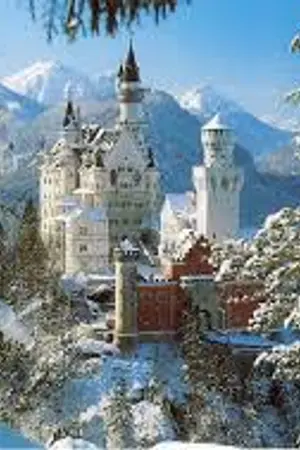 ปกนิยาย comand to love