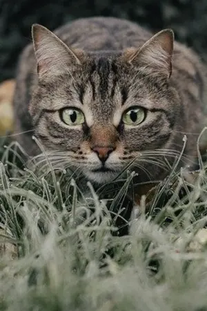 ปกนิยาย Badfriend