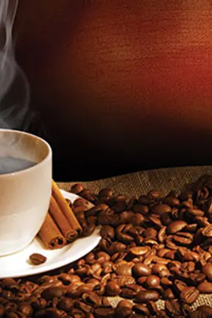 ปกนิยาย [Tokyo Ghoul Mini Series] Coffee [All x Kaneki]