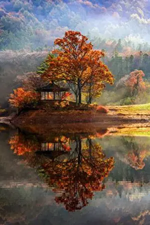 ปกนิยาย What Happened ผมอยู่โลกคู่ขนาน