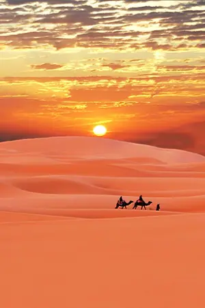 ปกนิยาย กรงรักท่านชีค