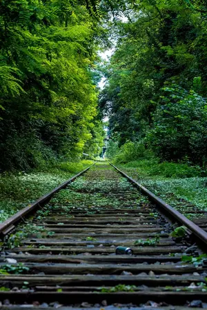 ปกนิยาย [SEVENTEEN SF] PARA | L L | EL [Junhao , WonHui]