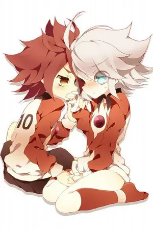 ปกนิยาย Inazuma eleven go the ซีรีส์[เบิร์นxกาเซล]