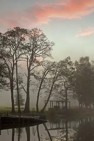 ปกนิยาย ดอกหญ้าเมื่อแรกแสง