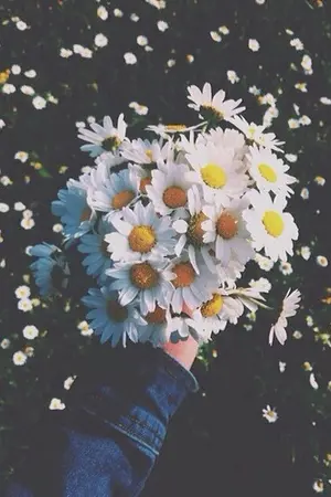 ปกนิยาย (produce101) 17yrs | hoonyoung