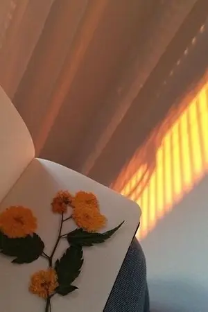 ปกนิยาย (os/sf) winkdeep,hoonyoung | the sun and the moon