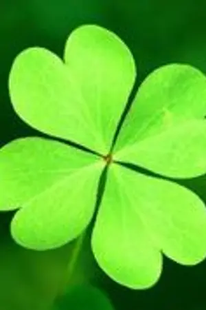 ปกนิยาย GREEN ZONE พื้นที่หัวใจ