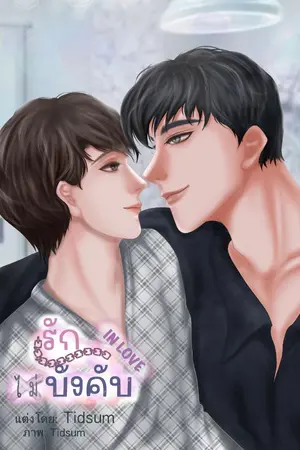 ปกนิยาย รักไม่บังคับ IN Love