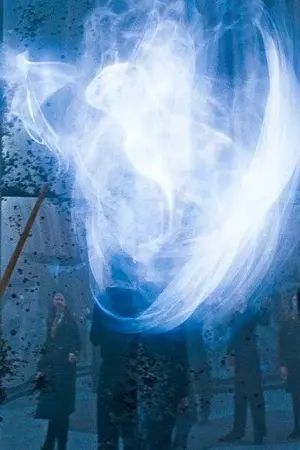 ปกนิยาย {Fic Harry Potter}  Ollivander {oc/xx}