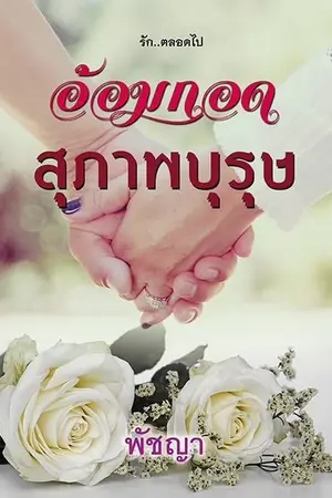 ปกนิยาย