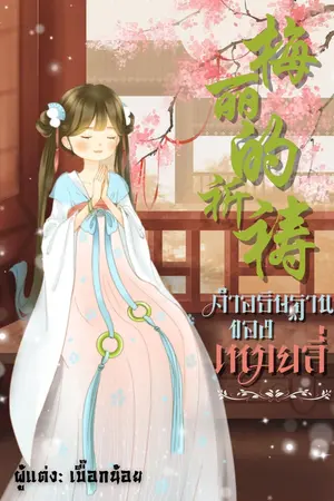 ปกนิยาย คำอธิษฐานของเหมยลี่(梅丽的祈祷)