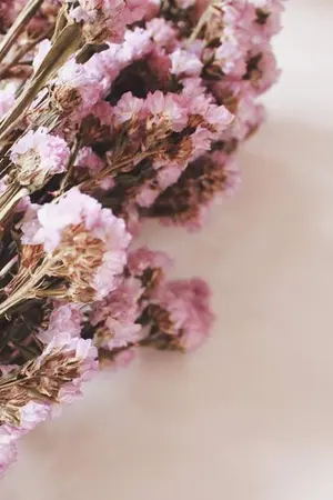 ปกนิยาย SATURDAY MORNING