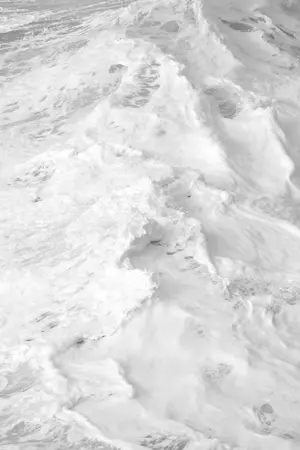 ปกนิยาย flower blooming ー doten