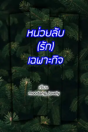 ปกนิยาย หน่วยลับ(รัก)เฉพาะกิจ
