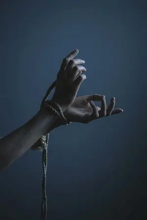 ปกนิยาย The Silent Shout