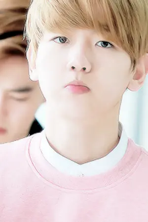 ปกนิยาย os / sf  ลิตเติ้ลบี [chanbaek]