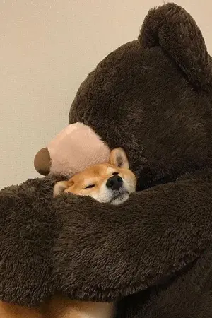 ปกนิยาย ผมไม่ได้มีไว้ให้พี่เอ็นดู #จันทร์เกือบอิน