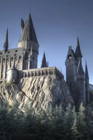 ปกนิยาย โรงเรียนเวทมนต์อาซาเลีย