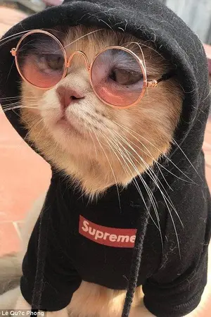 ปกนิยาย ทัดที่ดีต่อจัย (YAOI)